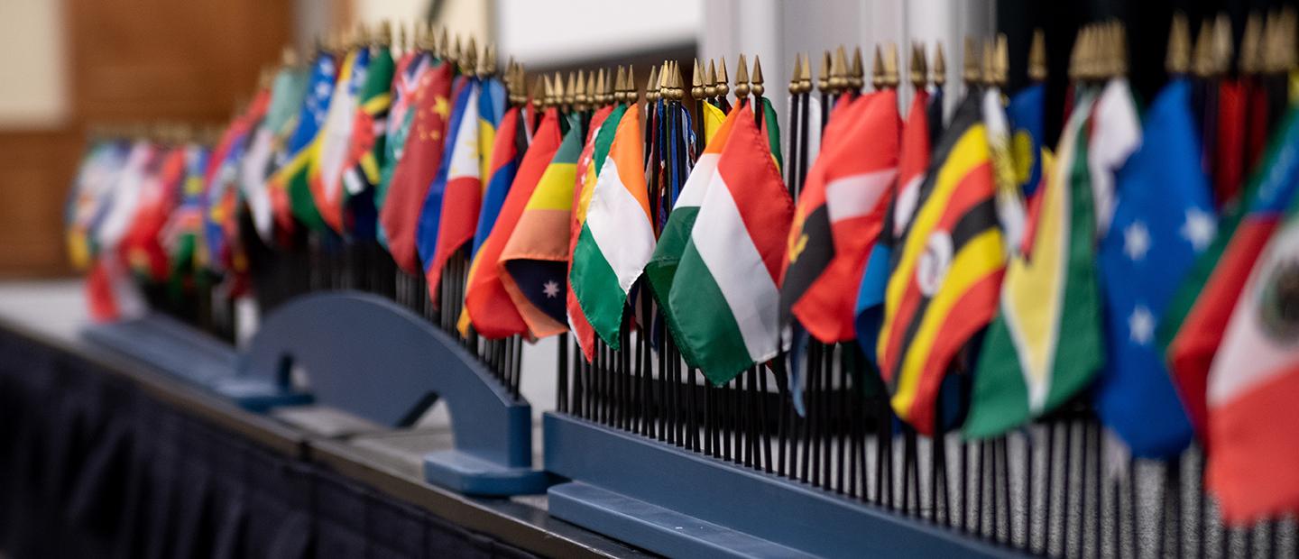 A display of flags of many different countries